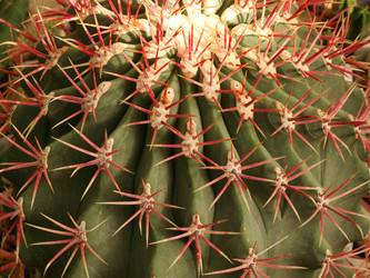 Similar image 120649