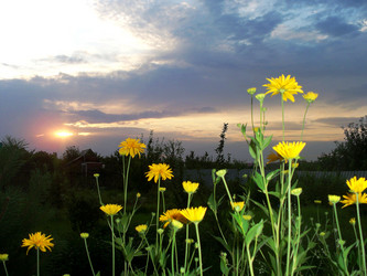 Similar image 120658