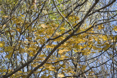 Similar image 120684