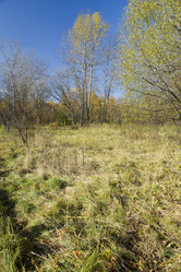 Similar image 120685