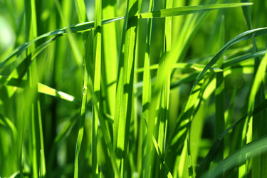 Similar image 120695