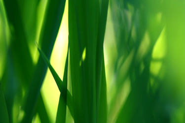 Similar image 120697