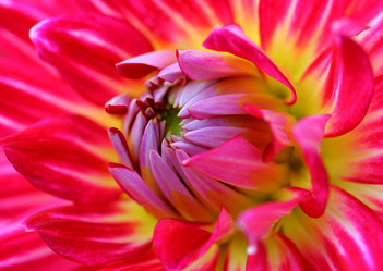 Similar image 120706