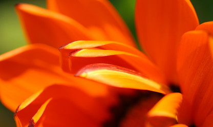 Similar image 120707