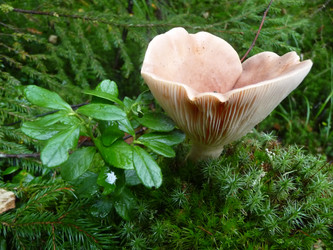 Similar image 120711