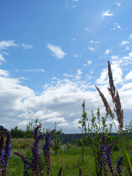 Similar image 120738