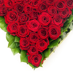 Similar image 120750