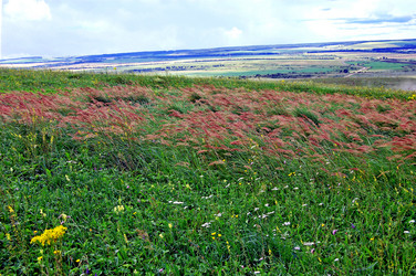 Similar image 120752