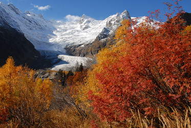 Similar image 120784