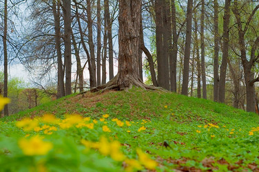 Similar image 120828