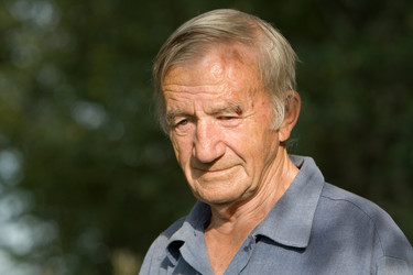 Similar image 120850