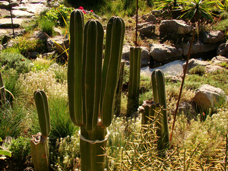 Similar image 120873