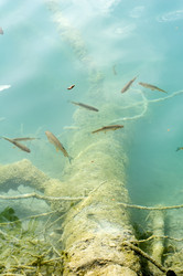 Similar image 120880