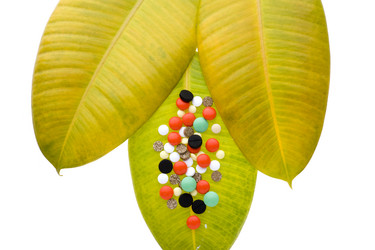 Similar image 120891