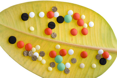 Similar image 120893