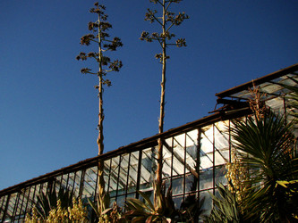 Similar image 120920