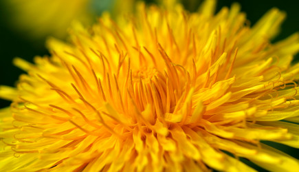 Similar image 120924