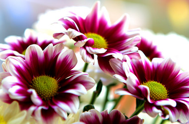 Similar image 120932