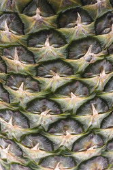 Similar image 120959