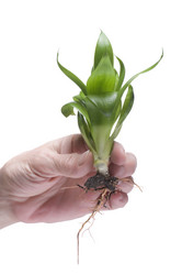 Similar image 120961