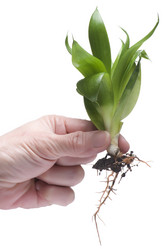 Similar image 120962