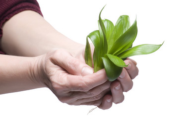 Similar image 120963