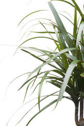 Similar image 120967