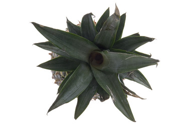 Similar image 120970