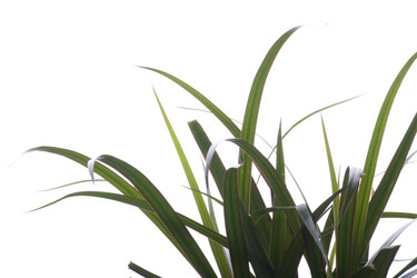 Similar image 120972