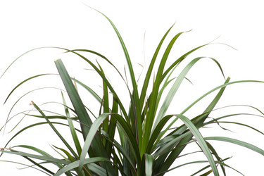 Similar image 120973