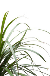 Similar image 120975