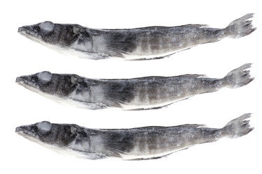 Similar image 120980