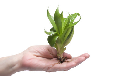 Similar image 121004