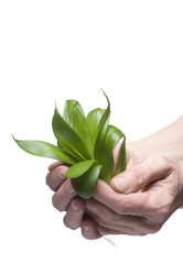 Similar image 121005