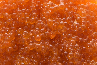 Similar image 121044