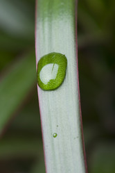 Similar image 121051