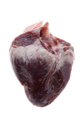 Similar image 121076