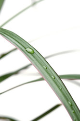 Similar image 121098