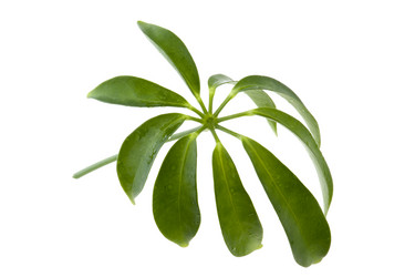 Similar image 121116