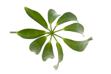 Similar image 121118