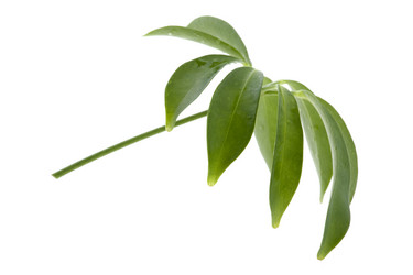 Similar image 121119