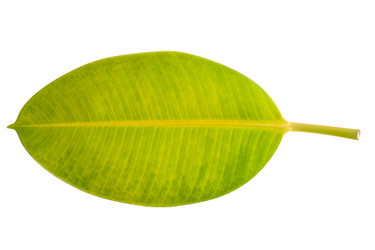 Similar image 121123