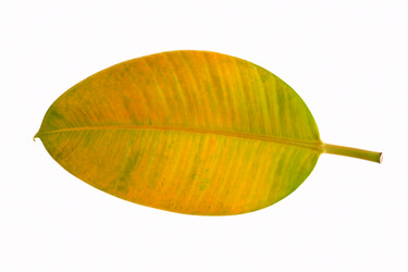 Similar image 121124