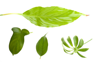 Similar image 121128