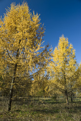 Similar image 121164