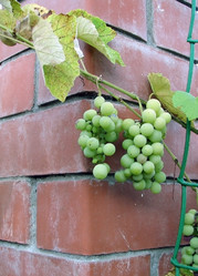 Similar image 121228