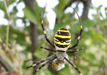 Similar image 121237