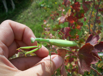 Similar image 121244