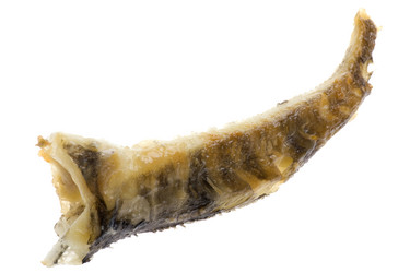 Similar image 121253