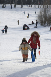 Similar image 121263